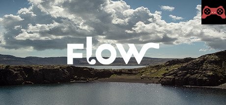 Flow System Requirements