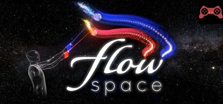 Flow Space System Requirements