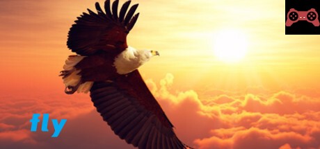 fly System Requirements