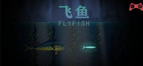 Fly Fish System Requirements