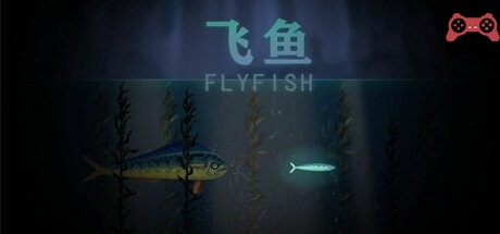 Fly Fish System Requirements