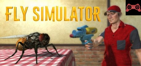 Fly Simulator System Requirements