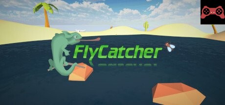 FlyCatcher System Requirements