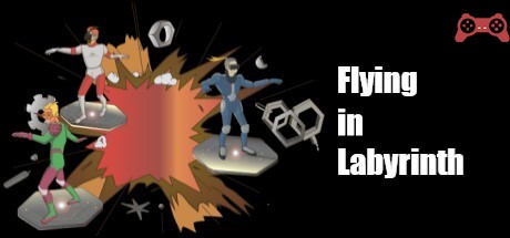 Flying in Labyrinth System Requirements