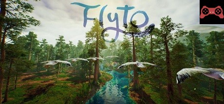 Flyto System Requirements