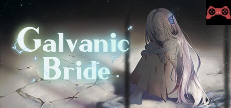 Galvanic Bride System Requirements