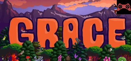 Grace System Requirements