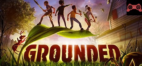 Grounded System Requirements
