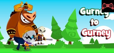 Gurney to Gurney System Requirements