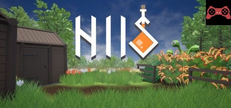 HIIS System Requirements