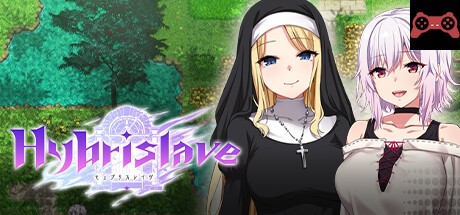 Hybrislave System Requirements