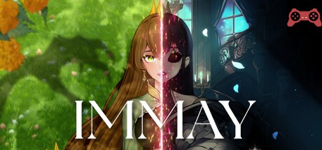 IMMAY System Requirements