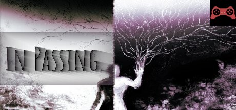 In Passing System Requirements