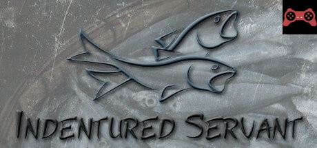 Indentured Servant System Requirements