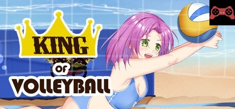 King of Volleyball System Requirements