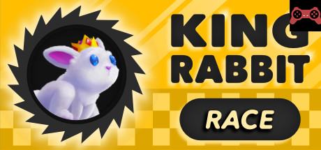 King Rabbit - Race System Requirements