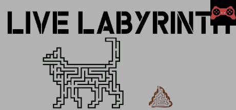Live Labyrinth System Requirements