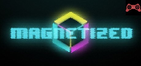 Magnetized System Requirements