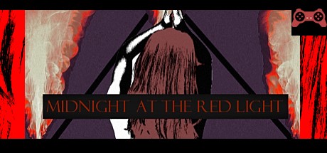 Midnight at the Red Light : An Investigation System Requirements