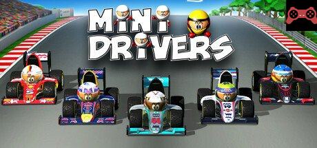 MiniDrivers System Requirements