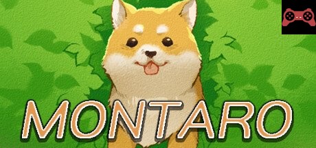 Montaro System Requirements