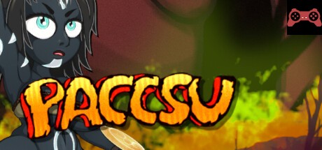 Paccsu System Requirements