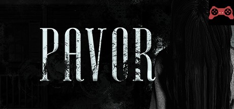 PAVOR System Requirements
