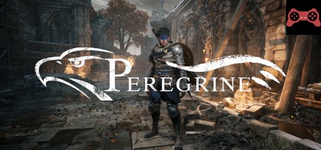 Peregrine System Requirements