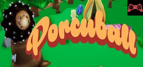 Porcuball System Requirements