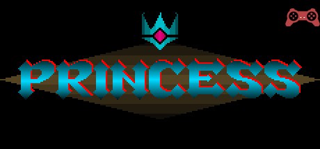 PRINCESS System Requirements
