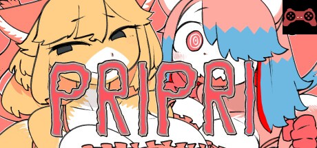 PRIPRI System Requirements
