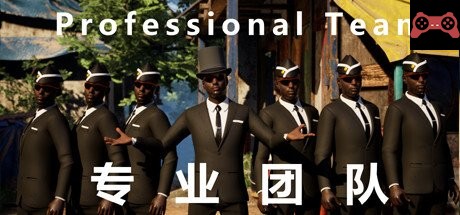 Professional Team System Requirements