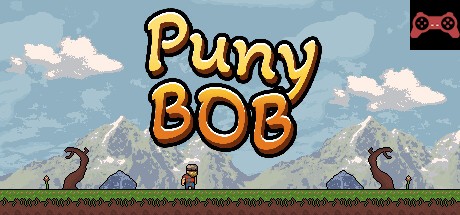 Puny BOB System Requirements