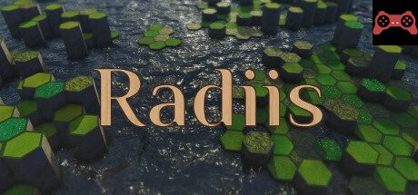 Radiis System Requirements