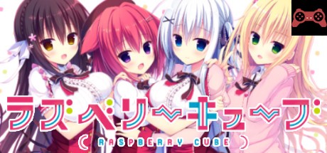 Raspberry Cube System Requirements