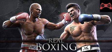Real Boxing System Requirements