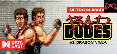 Retro Classix: Bad Dudes System Requirements
