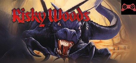 Risky Woods System Requirements
