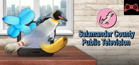 Salamander County Public Television System Requirements