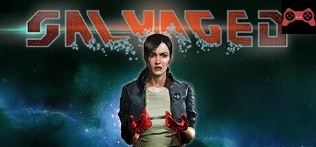 Salvaged System Requirements