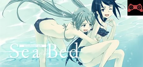 SeaBed System Requirements