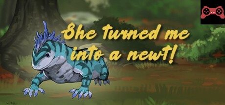 She turned me into a newt! System Requirements
