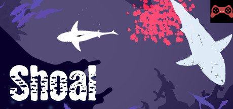 Shoal System Requirements