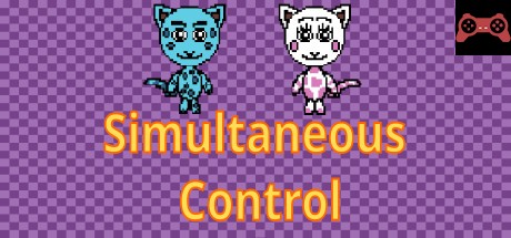 Simultaneous Control System Requirements