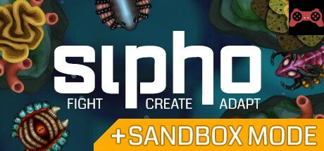 Sipho System Requirements