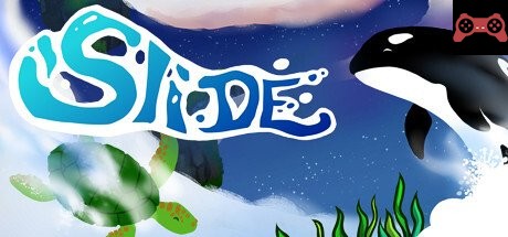 Slide - Animal Race System Requirements
