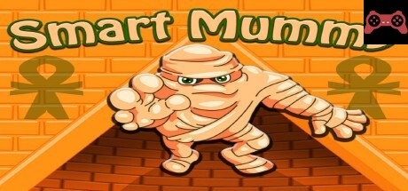 Smart Mummy System Requirements