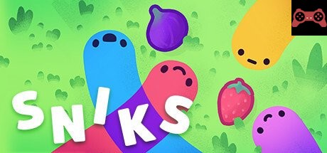 SNIKS System Requirements