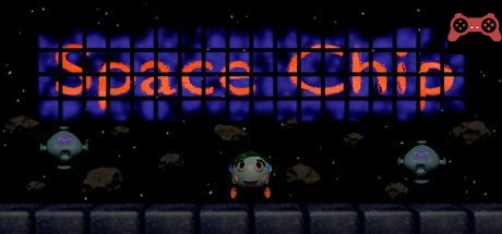 Space Chip System Requirements