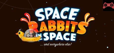 Space Rabbits in Space System Requirements